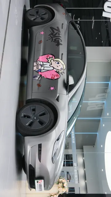 特斯拉 · 南京卡普实车案例 · 图片1