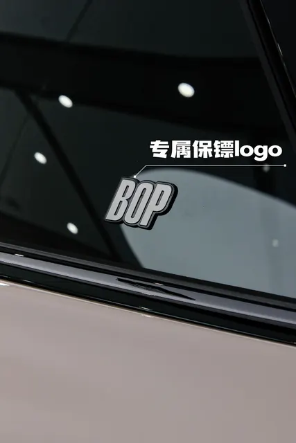 理想 i9 home · 南京卡普实车案例 · 图片1