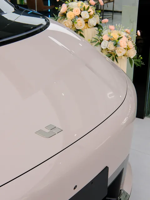 理想 i9 home · 南京卡普实车案例 · 图片6